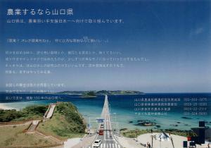 移住就農加速化支援事業パンフレット