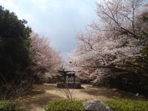 kongousan