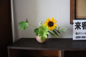 西昇降口のお花0629