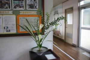 玄関の花7月15日1