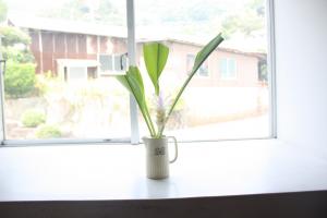 階段のお花8月25日