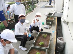 2年生春野菜1