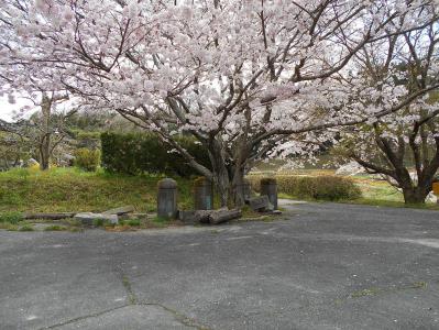 sekizenbashi4gatsu