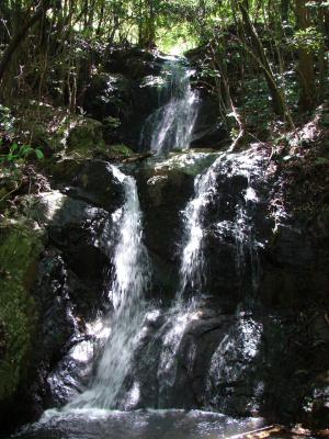 鳩子の滝1