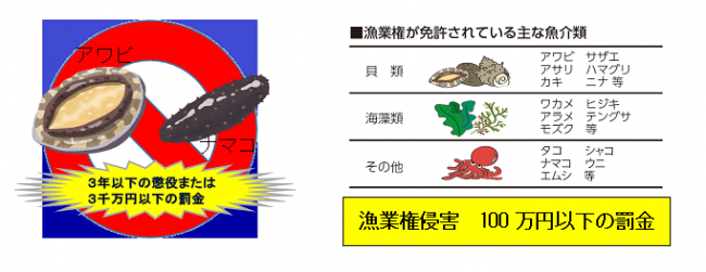 awaawa