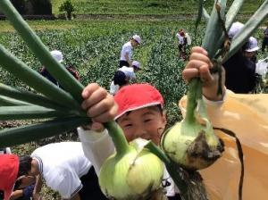 大きなたまねぎが取れて喜んでいる女の子です。