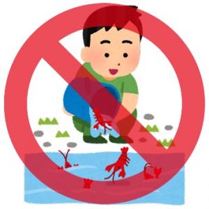 アメリカザリガニとアカミミガメを逃がしてはいけません
