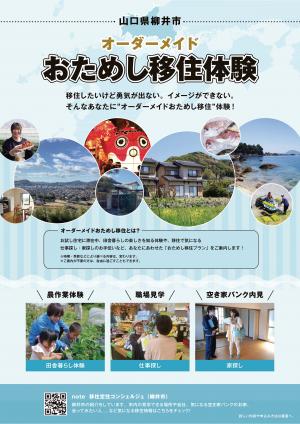 おためし移住チラシ