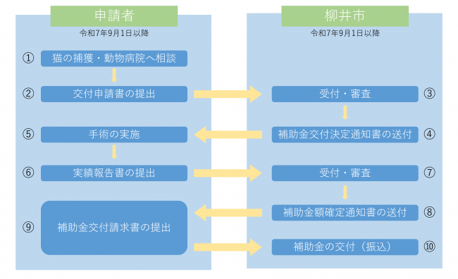 手続きの流れ_個人の場合