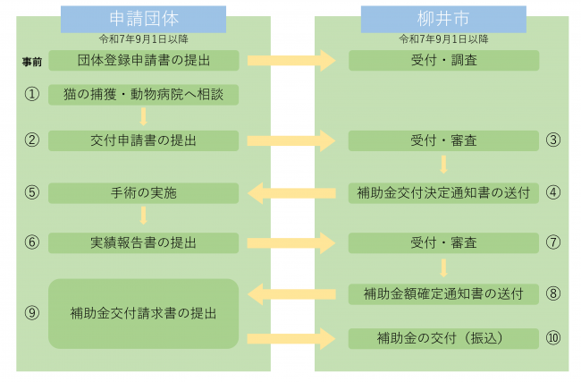 手続きの流れ_登録団体の場合