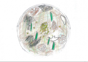 スープのイラスト