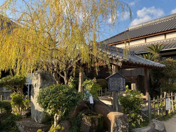 柳と井戸（湘江庵）