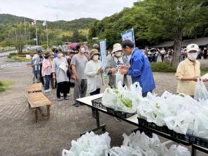 ゴーヤの苗配布