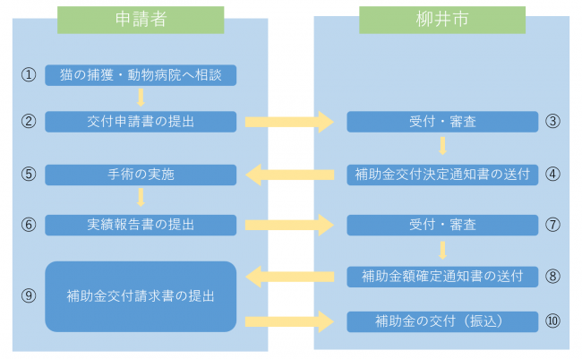 個人の場合