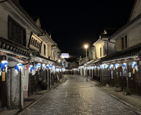青い柳井金魚ちょうちんの夜間点灯