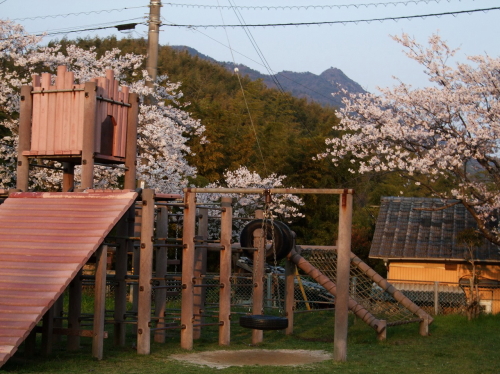 桜満開の岡の上公園の写真