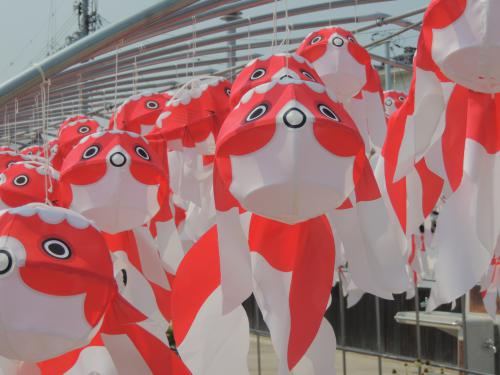 金魚ちょうちんがたくさん並んでいる画像です。