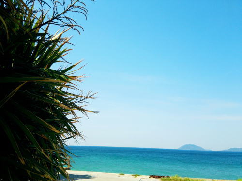 美しい海、五十谷三島の写真です。