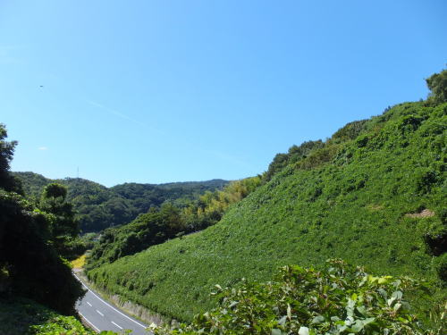 空と緑の山に囲まれた道の写真です