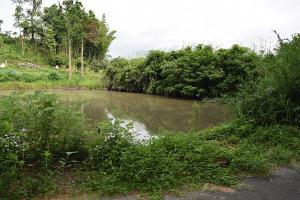 鯨池