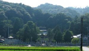 伊保庄賀茂神社の社叢の写真