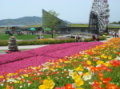 フラワーランドの庭園画像です。