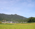 琴石山
