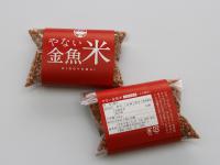 やない金魚米