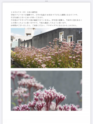 小田小歳時記 20251027