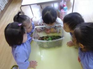 かたつむり
