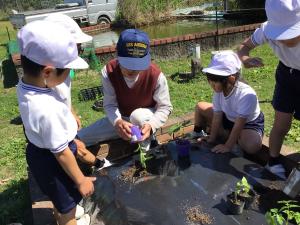 植え方を教わる子どもたち