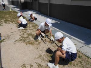 草取りをする子どもたち