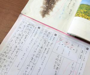 たんぽぽ