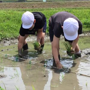 大事に植える子ども