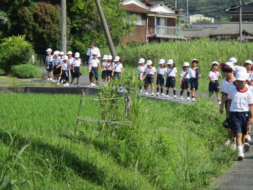 通学路探検２