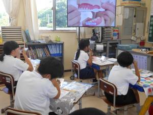 DVDを見ながら歯磨きをする子どもたち