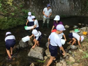 川に入って生物を採取するところ