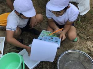 生物の名前を調べるところ
