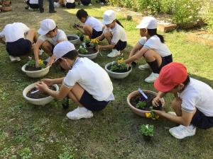 鉢に花を植える子どもたち