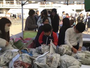 3，4年生キャベツの販売