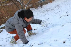 雪７－２
