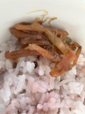 つくし