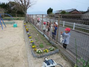 てるてる坊主