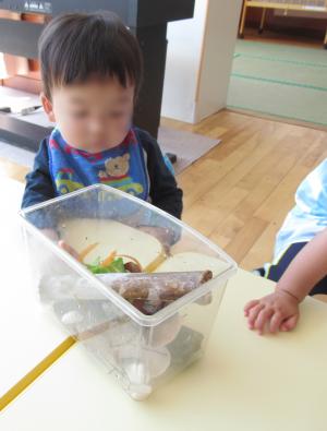 かたつむり
