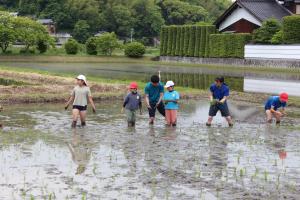 田植え２