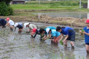 田植え３