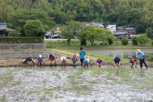 田植え４