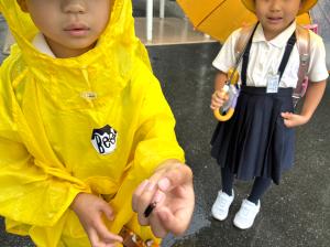 雨の日の登校