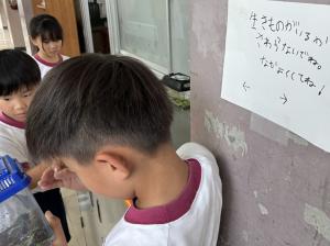 生き物