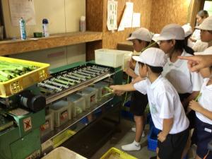 出荷作業の様子